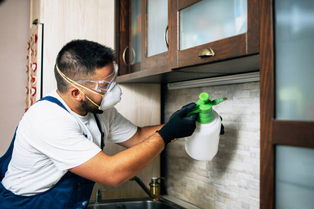 Best Ant Control Services  in Desert Edge, CA