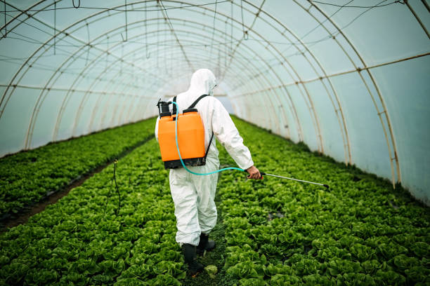 Best Pest Removal Services  in Desert Edge, CA