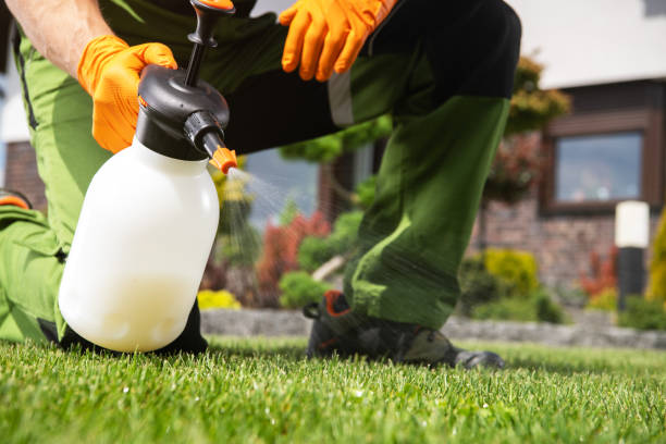 Best Pest Control Near Me  in Desert Edge, CA
