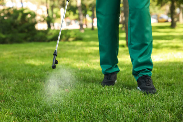 Best Commercial Pest Control Services  in Desert Edge, CA