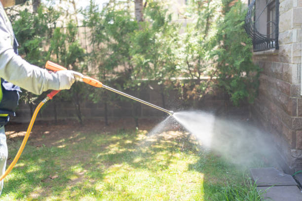 Best Wasp Removal Services  in Desert Edge, CA