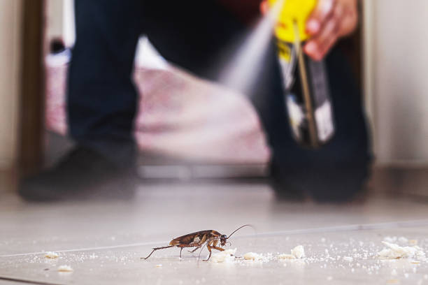 Desert Edge, CA Pest Control Company