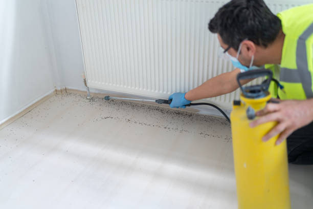 Best Emergency Pest Control  in Desert Edge, CA